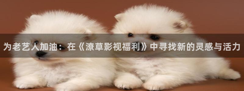 69视频免费：为老艺人加油：在《潦草影视福利》中寻找新的灵感与活力