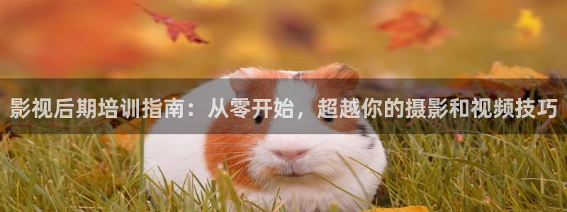 69视频最新：影视后期培训指南：从零开始，超越你的摄影和视频技巧