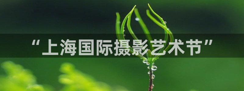 69视频 在线观看：“上海国际摄影艺术节”