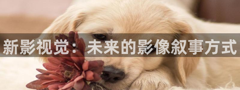 日韩69视频：新影视觉：未来的影像叙事方式