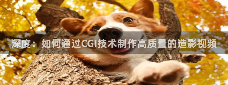 69视频下载：深度：如何通过CGI技术制作高质量的造影视频