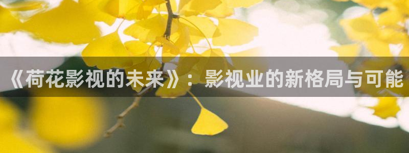 69视频吗：《荷花影视的未来》：影视业的新格局与可能