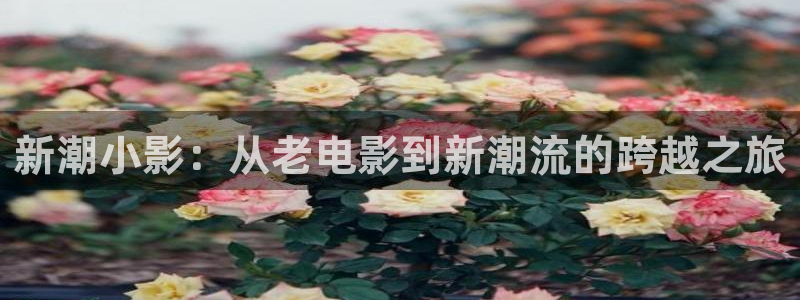 欧洲内射69视频：新潮小影：从老电影到新潮流的跨越之旅
