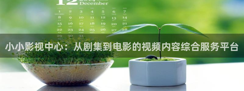 69视频3：小小影视中心：从剧集到电影的视频内容综合服务平台