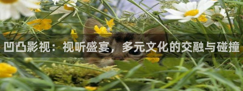 草莓69视频：凹凸影视：视听盛宴，多元文化的交融与碰撞