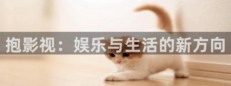 69视频啊好爽：抱影视：娱乐与生活的新方向