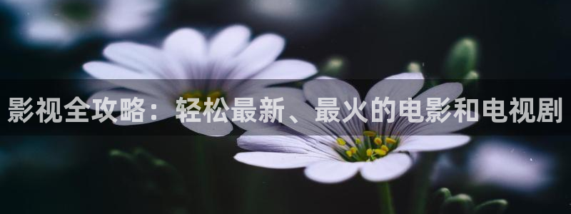 69视频下：影视全攻略：轻松最新、最火的电影和电视剧